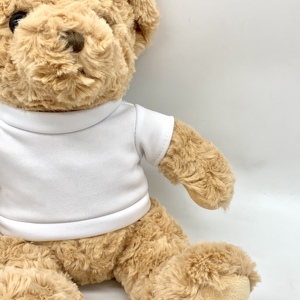 Logo personalizzato orsacchiotto peluche giocattolo personalizzato peluche orsacchiotto di peluche giocattolo con camicia cartone animato farcito animale orso decorazione - Product Image 4
