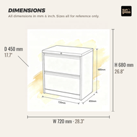 Armoire de rangement métallique à 2 tiroirs coulissants, 90 cm de large, avec poignée col de cygne, pour bureau et salle de sport, prix de gros usine