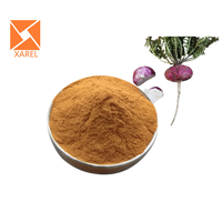 Poudre de racine de Maca rouge de haute qualité, vente chaude, directement de l'usine, extrait de racine de Maca rouge en poudre