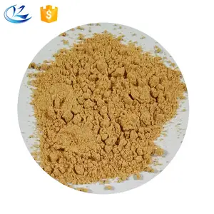 Wholesale Mushroom Flavor BBQ Barbecue Seasonings Powder for Fried Cooking