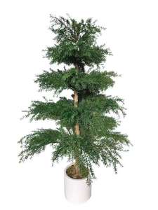 Nuevo árbol <span class=keywords><strong>de</strong></span> pino árbol artificial bonsái <span class=keywords><strong>de</strong></span> <span class=keywords><strong>cedro</strong></span> australiano para decoración <span class=keywords><strong>de</strong></span> Bodas <span class=keywords><strong>de</strong></span> jardín - Product Image 6