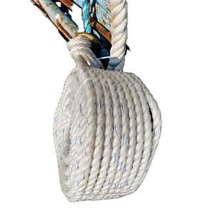 1/4 Inch 5/16 Inch 3/8 Inch 660 Meters Blue White Danline Jute Twist Eco-Friendly <b>Fishing</b> Rope 16mm 18mm Marine Philippines - Product Image 1
