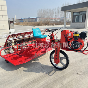 Rice Transplanter 12 <b>Rows</b> Diesel Engine High Productivity Agricultural <b>Machinery</b> For Rice Farming - Product Image 3