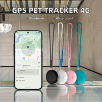 IP67 étanche GPS Airtag Pet Tracker Bluetooth localisateur à distance dispositif de suivi de voiture Android 4G Mascotas Finder Navigation
