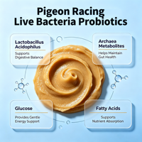 Pâte Probiotique Intestinale pour Pigeons de Course avec Lactobacillus Acidophilus et Métabolites, Naturelle Sans Antibiotiques, 250g