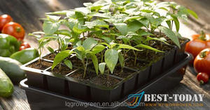Bac à jardinage en papier biodégradables, 1 pièce, <span class=keywords><strong>Pots</strong></span> de plantes à haricots, <span class=keywords><strong>semis</strong></span>, fleurs, plantation à plateau - Product Image 2