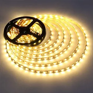 Hot Sales 5050 Smd Rgb Led Strip Ws2801 Decoratieve Outdoor Landschap Strip Kerstverlichting