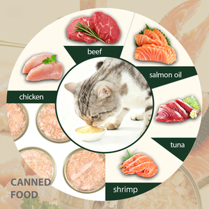 Thức ăn ướt giàu protein cho mèo, giá tốt nhất, gà cá đóng hộp, hàm lượng thịt cao, cá, bán chạy, đồ ăn thưởng cho thú cưng - Product Image 2