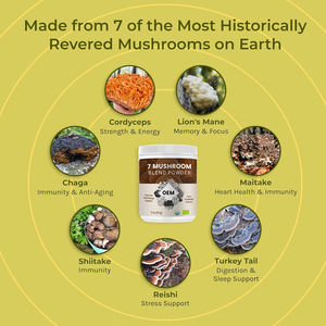 プライベートラベル10in1混合有機キノコブレンドエキスパウダーと霊芝冬虫夏草ライオンたてがみチャガエキス - Product Image 4