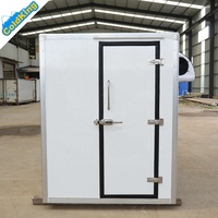 ColdKing 1.6m Panneau sandwich en FRP Petite remorque alimentaire Réfrigérateur Boîte de stockage -20C Chambre froide mobile