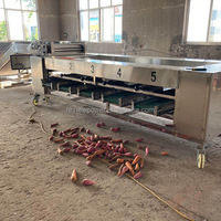 8-10t/u Kleine Kiwi-Komkommer Sorteermachine Automatische Abrikoos-Granaatappel Sorteermachine Pecannoten Rolgraderingsmachine
