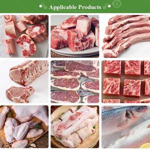 เครื่องเลื่อยตัดเนื้อและกระดูกแบบตั้งโต๊ะสำหรับไก่แช่แข็ง ยี่ห้อ Floor Butcher Mini Industries รุ่นใช้งานในอุตสาหกรรม สำหรับอิตาลี - Product Image 6