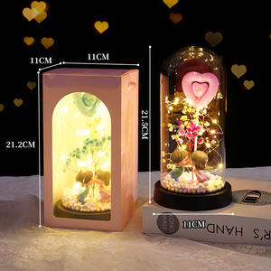 Cadeau pour les amoureux en gros, Saint-Valentin, couverture en plastique luminescente, fond noir, ornements pour les amoureux, fleurs décoratives, plantes - Product Image 5
