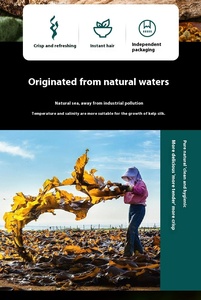 لفائف عشب البحر المجفف السميك المجفف بالشمس، خالية من الرمل والطين، تعبئة بالجملة، من المصنع مباشرة، للبيع بالجملة - Product Image 6