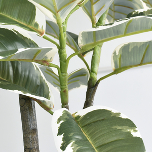 ต้นยางพาราปลอมขนาดใหญ่ 150 ซม. ต้นไทรยางพาราเทียม PVC สำหรับตกแต่งภายในบ้าน สำนักงาน โรงแรม - Product Image 3