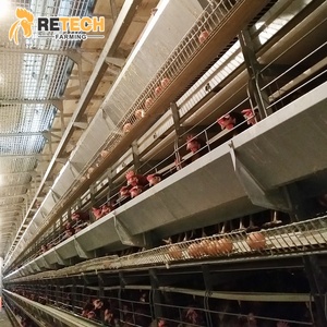 Système de cage de tressage, en fil d'acier de galvanisation <span class=keywords><strong>à</strong></span> chaud, en maille, pour oiseaux, volaille, poissons, 2020 - Product Image 1