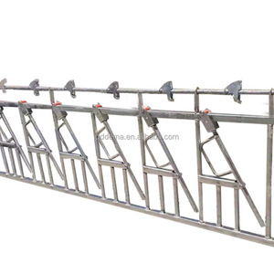Barrière de col pour moutons en tuyau galvanisé à chaud, type tête de <span class=keywords><strong>mouton</strong></span>, avec conception réglable pour élevage ovin - Product Image 2