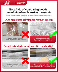 DZ340 Ansenco Desktop Electric Automatic High Quality Food Vacuum Sealing Machine for Pork <b>Fish</b> Chicken Film Foil Pouch - Product Image 3