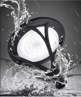 Lumière industrielle IP65 étanche à haute efficacité 2400lm avec contrôle PWM 15w Lumière solaire pour poteau de jardin