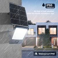 KCD Étanche IP65 Jardin Prix Moins Cher En Gros 100 watts 300w 500w LED Solaire Projecteur Extérieur Avec Télécommande