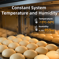 Armoire de Fermentation et de Réfrigération Industrielle en Acier Inoxydable pour Pains et Pâtes, pour Boulangerie