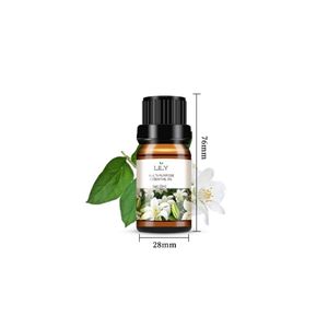 Muestra gratis 20mL difusor de aromaterapia de vidrio Cuidado del Hogar Perfume humidificador coche ambientador fragancia con aceite esencial - Product Image 5