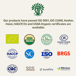 OEM Private Label supplementi leoni criniera fungo estratto liquido orale gocce miglior prezzo supporto immunitario Booster per il cervello per - Product Image 6