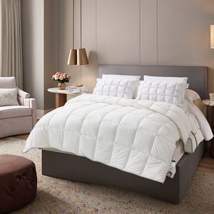 King Queen Size 500GSM Poliéster Microfibra <span class=keywords><strong>Relleno</strong></span> Edredón Insertar Blanco Hotel Ropa de cama Edredón Insertar - Product Image 1