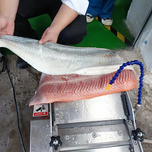 Macchina Pelatrice per Pesci Multifunzione Commerciale Antiruggine per Lavorazione di Seppie e Salmone - Product Image 6