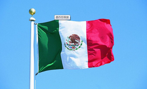 High Quality Customized Cheap Country National <b>Flags</b> Mexican <b>Flags</b>, Banners - Product Image 5