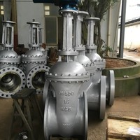 Válvula de Compuerta de Hierro Dúctil Industrial Premium con Vástago Fijo y Sellado Suave, con Cuña de Acero Inoxidable 316L