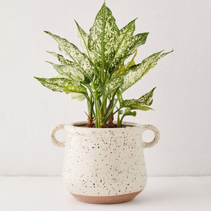 Nuevos Productos 2025 Maceta Grande de Cerámica Blanca <span class=keywords><strong>con</strong></span> Asa para Jardín, Diseño de Flores Tejidas, para <span class=keywords><strong>Suculentas</strong></span> Artificiales, MOQ - Product Image 1
