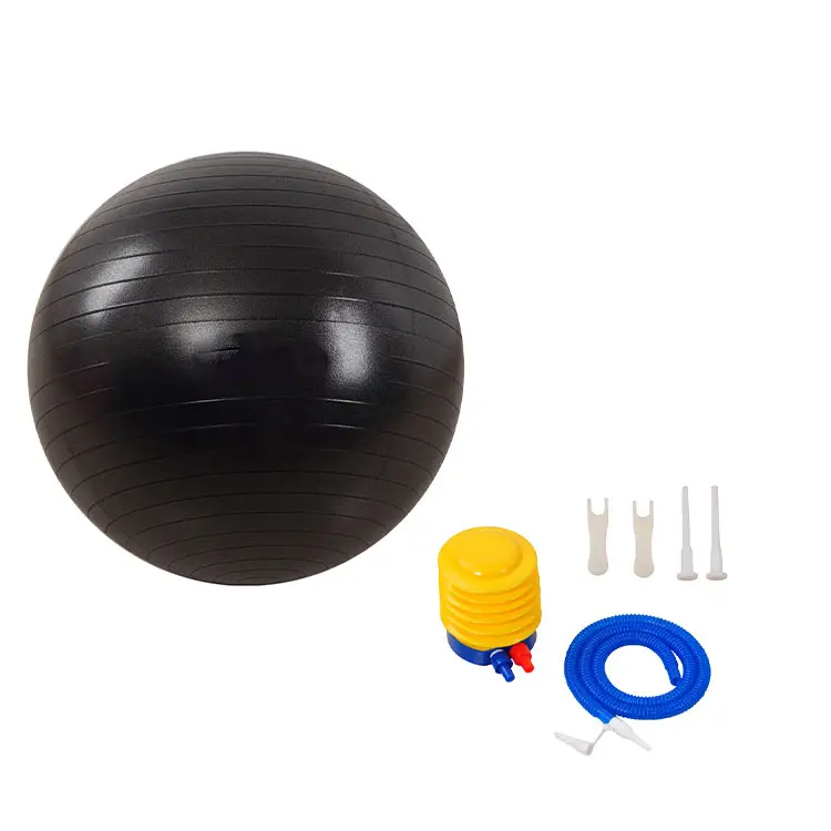 PVC 55 cm aufblasbarer Anti-Burst Training widerstandsfähiges Training Fitness Geburt Yoga Ball mit Schneller Pumpe