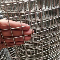 Rejilla de Malla de Alambre Soldada a Medida, 2x2 Pulgadas, Hierro Electrogalvanizado, Orificios Cuadrados para Protección de Ventanas