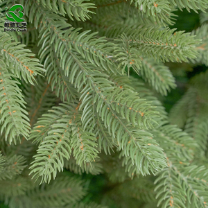 하이 퀄리티 진짜 느낌 전체 PE 가문비 나무 전나무 크리스마스 트리 축제 장식을 위한 90CM ~ 240CM - Product Image 2