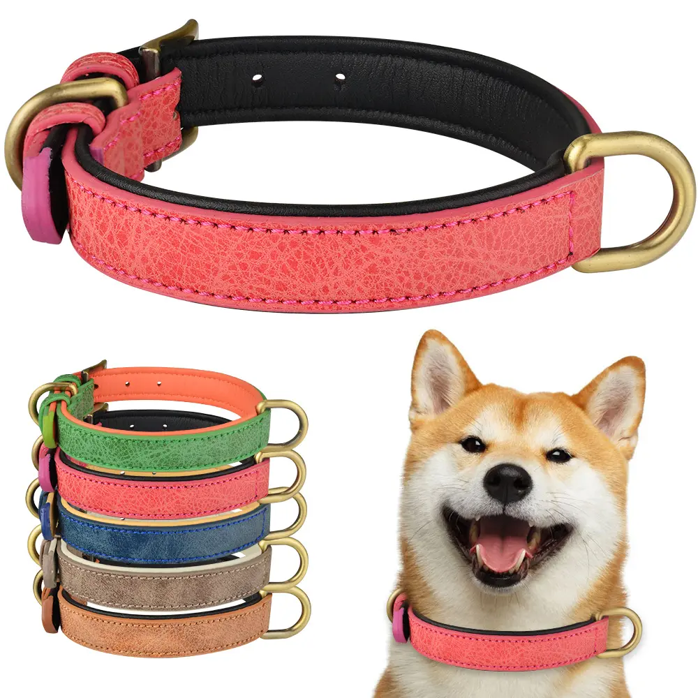 Collar de cuero para perros pequeños, medianos y grandes, doble anillo en D, ajustable