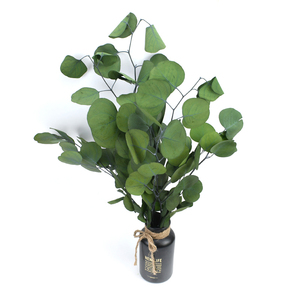 Nuevo follaje 2025 Forever Flower DIY plantas <span class=keywords><strong>de</strong></span> jardín hojas <span class=keywords><strong>de</strong></span> eucalipto preservadas para Arreglo <span class=keywords><strong>de</strong></span> decoración Interior del hogar DIY - Product Image 6