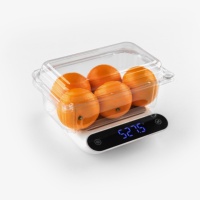 Conteneur en plastique PET de qualité alimentaire personnalisé, écologique, pour fruits, boîte à légumes empilable transparente, raisins, cerises, tomates, vente en gros