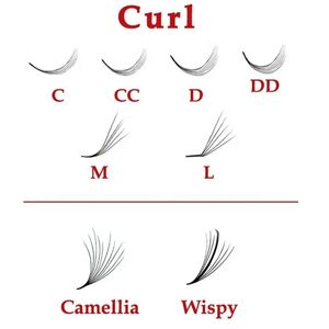 ขนตาปลอมแบบก้านสั้น PBT ของเกาหลี แบบแคบ 4D/1000 เส้น ยี่ห้อ Nhu Y รุ่น NY4D จากโรงงาน ผลิตด้วยมือ ง่ายต่อการต่อ ให้ความหนาเต็มพิกัด - Product Image 2