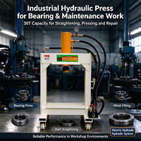 Presse hydraulique à double colonne LSF-B30T de 30 tonnes, presse d'atelier électrique pour le pressage des roulements et le redressage des métaux