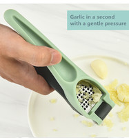 Top vente 2024 Gadget de cuisine écologique facile à nettoyer en acier inoxydable avec poignée en plastique presse-ail manuel