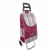 Nouveau chariot de courses pliable avec roues pour les courses, sac de courses pour légumes