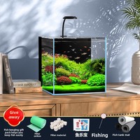 Petit aquarium de bureau en verre ultra-blanc avec filtre arrière, paysage aquatique sans eau, design écologique pour personne paresseuse, idéal pour les poissons rouges