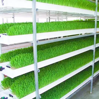 Système complet de culture verticale de fourrage hydroponique pour micro-pousses, avec plateaux de culture de fourrage et herbe d'orge pour porcs et chevaux