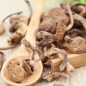 Hongos de Miel Armillaria Mellea Silvestres Comestibles Enteros y Secos al por Mayor, 100% Naturales, Marca Chengyitang, para Venta en Línea - Product Image 5