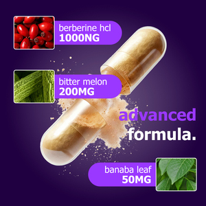 Capsules de complexe de berbérine HCL OEM ODM avec feuille de Banaba et fruit de melon amer pour soutenir la santé intestinale, le métabolisme et la gestion du poids - Product Image 3
