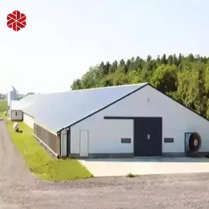 NANXIANG-estructura de acero para pollos, estructura de acero prefabricada, equipo de granja avícola