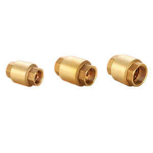 Válvula de Retención de Latón Personalizada con Diseño de Resorte Duradero para Aplicaciones de Agua y Vapor - Fabricante de Válvulas de Bola y Válvulas de Retención - Product Image 5