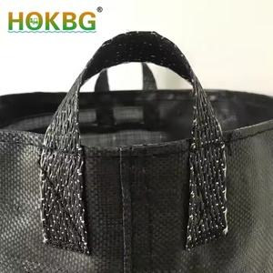 Bolsa de cultivo de plantas de PP para exteriores HOKBG, macetas y jardineras de jardín, bolsas de cultivo de verduras para plantas, macetas y jardineras, precio de fábrica - Product Image 2