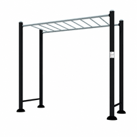 Barra de Ejercicios Resistente para Exteriores, Escalera Horizontal de Acero Inoxidable para Parques, Escuelas, Patios de Recreo, Calistenia y Fitness